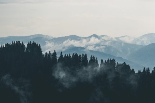 forest-mountains-fog-clouds-9754